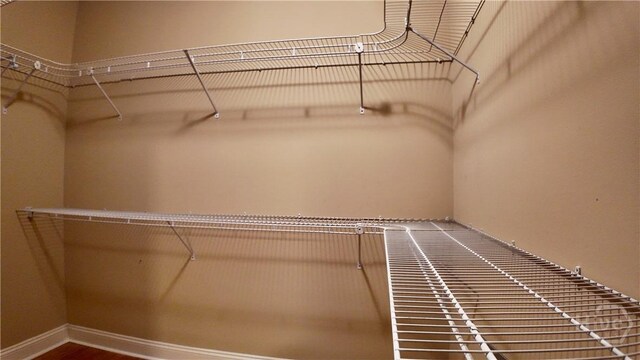 131 Brigham Dr, Richmond Hill, GA 31324 - view of walk in closet
