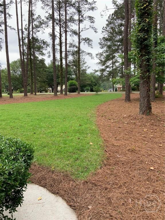 105 Lancaster Pt, Statesboro, GA 30458 - photo 23