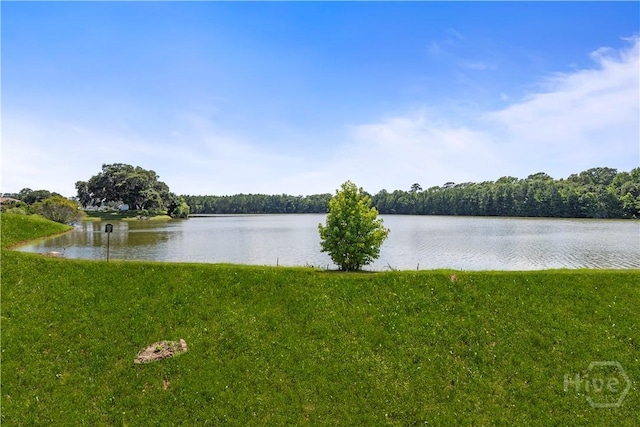 206 Calm Oaks Cir, Savannah, GA 31419 - photo 47