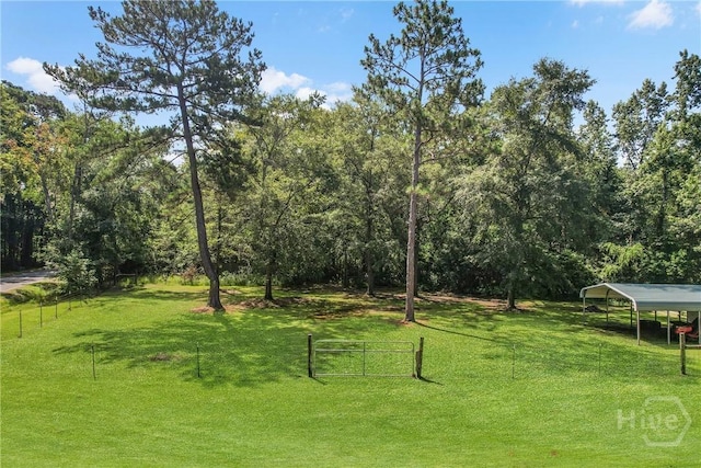 324 Elm St, Eden, GA 31307 - view of yard with a detached carport and a forest view