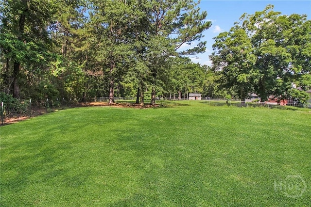 324 Elm St, Eden, GA 31307 - view of yard