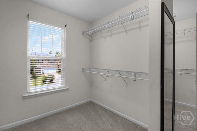 129 Winslow Cir, Savannah, GA 31407 - spacious closet with carpet