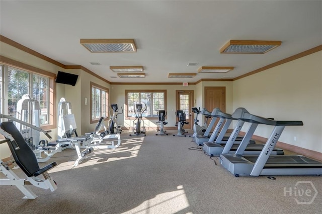 129 Winslow Cir, Savannah, GA 31407 - gym featuring crown molding and carpet floors