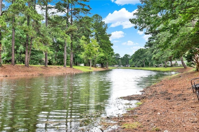 31 Bristlecone Dr, Savannah, GA 31419 - photo 28