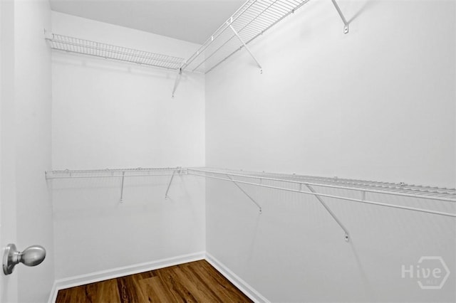 93 Lake Shore Blvd, Port Wentworth, GA 31407 - walk in closet featuring dark wood-style flooring