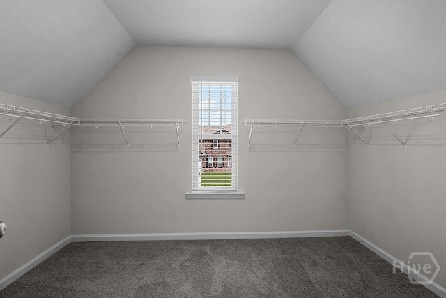 105 Telford St, Savannah, GA 31407 - walk in closet with vaulted ceiling and carpet