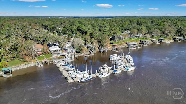 139 Marsh Edge Ln, Savannah, GA 31419 - aerial view of property's location featuring a forest and a nearby body of water