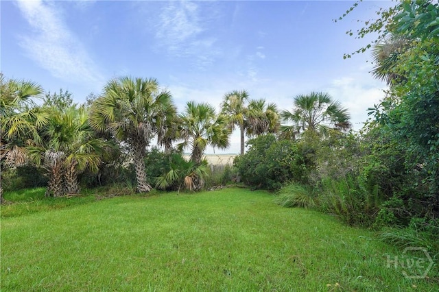 139 Marsh Edge Ln, Savannah, GA 31419 - view of grassy yard