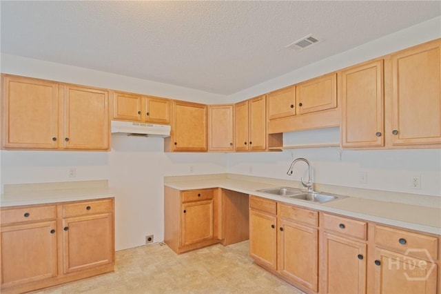 291 Blacberry Ln, Port Wentworth, GA 31407 - kitchen with under cabinet range hood, light countertops, open shelves, a textured ceiling, and light brown cabinetry