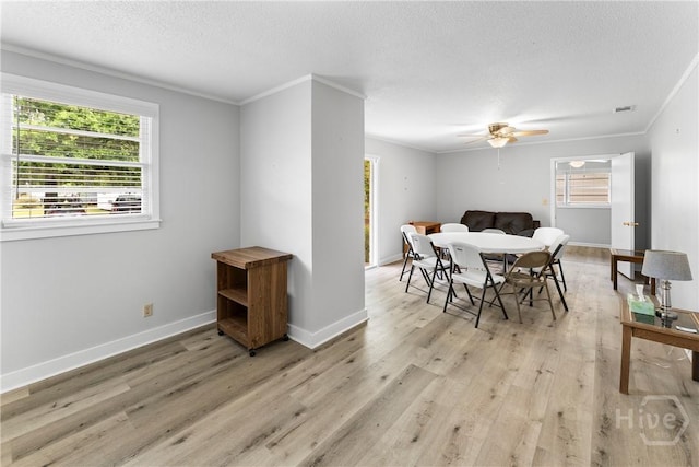 129 Vandiver Rd, Walthourville, GA 31301 - dining space featuring light wood finished floors, a ceiling fan, a textured ceiling, and ornamental molding