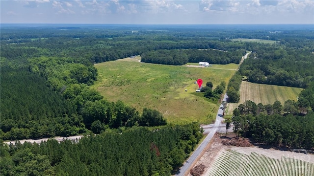 263 Dewitt Rd, Springfield, GA 31329