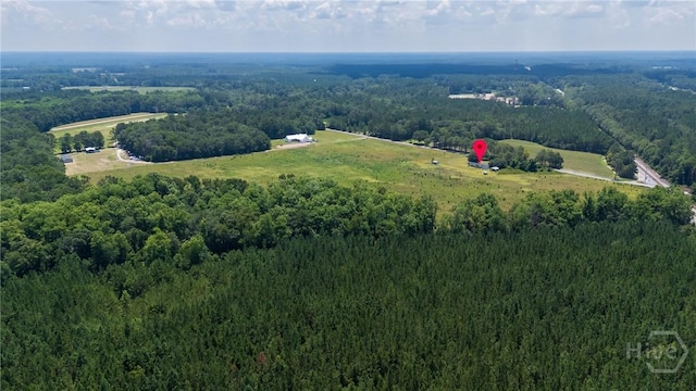 263 Dewitt Rd, Springfield, GA 31329