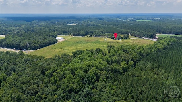 263 Dewitt Rd, Springfield, GA 31329