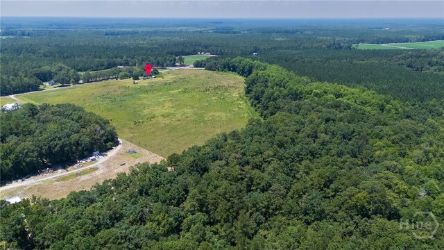 263 Dewitt Rd, Springfield, GA 31329