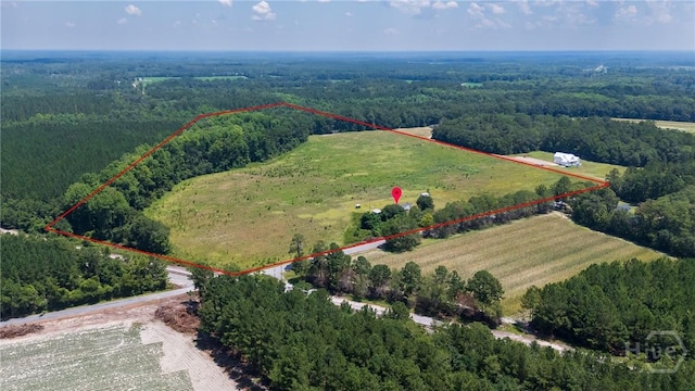 263 Dewitt Rd, Springfield, GA 31329