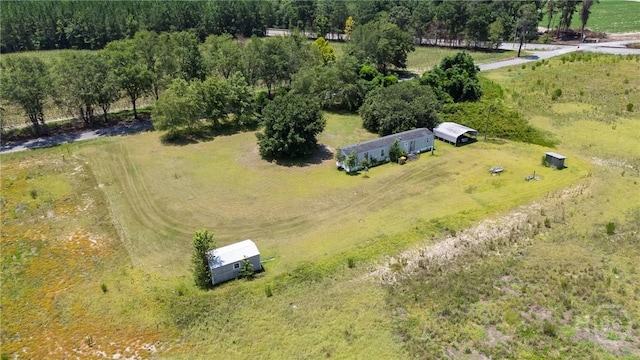 263 Dewitt Rd, Springfield, GA 31329