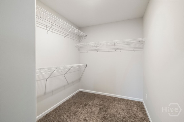 29 Allston Ln, Savannah, GA 31407 - photo 32