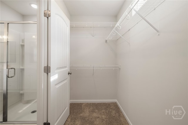 29 Allston Ln, Savannah, GA 31407 - photo 33
