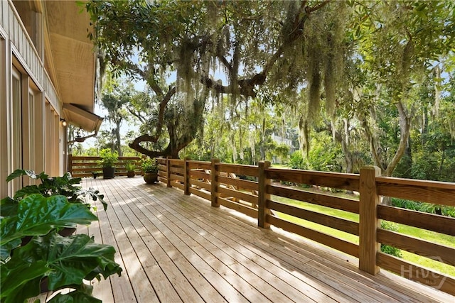 419 Walthour Rd, Savannah, GA 31410 - photo 5
