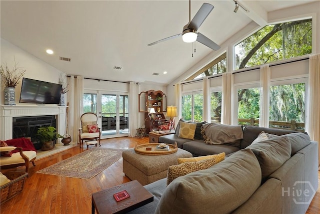 419 Walthour Rd, Savannah, GA 31410 - photo 8