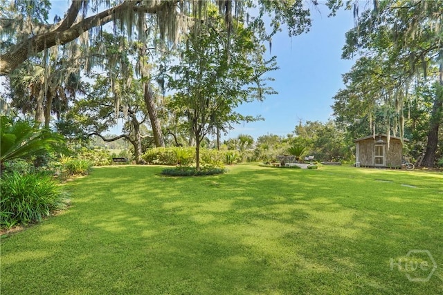 419 Walthour Rd, Savannah, GA 31410 - photo 41