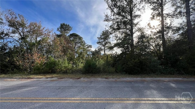 0 River Rd, Midway, GA 31320