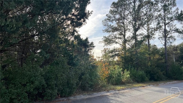 0 River Rd, Midway, GA 31320