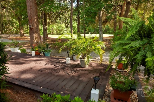 319 Brown Thrush Rd, Savannah, GA 31419 - photo 23