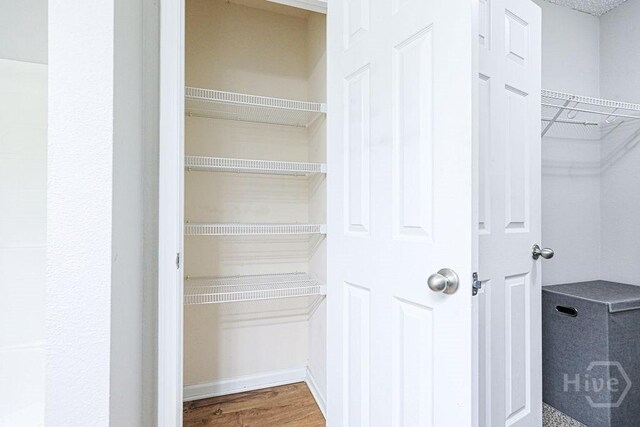 1125 Canyon Oak Loop, Richmond Hill, GA 31324 - view of closet