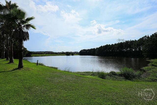 1125 Canyon Oak Loop, Richmond Hill, GA 31324 - water view