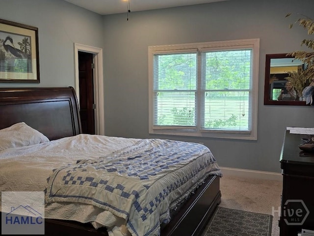 485 Lake Pamona Rd, Midway, GA 31320 - bedroom with multiple windows and carpet flooring