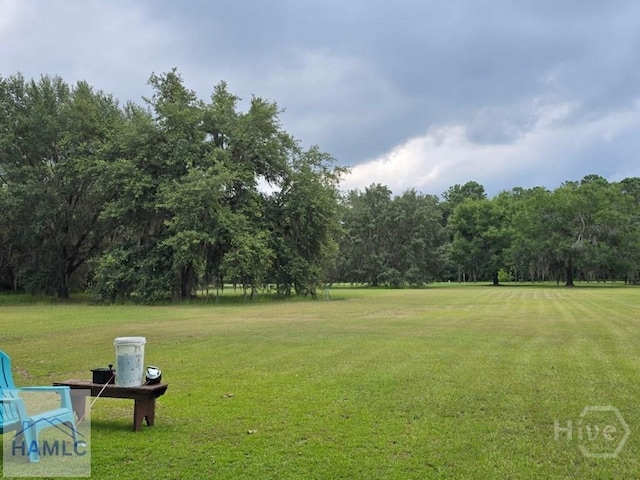 485 Lake Pamona Rd, Midway, GA 31320 - view of grassy yard