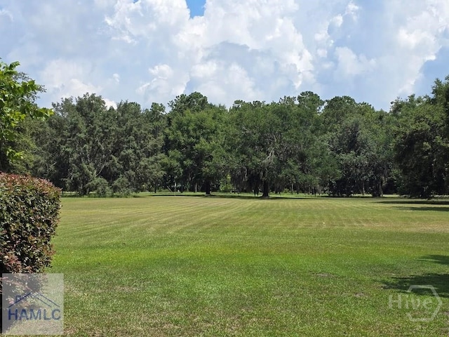 485 Lake Pamona Rd, Midway, GA 31320 - view of home's community with a lawn