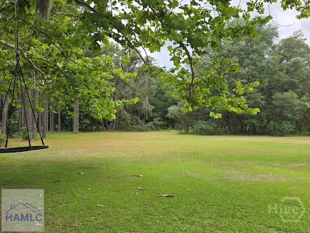 485 Lake Pamona Rd, Midway, GA 31320 - view of green lawn