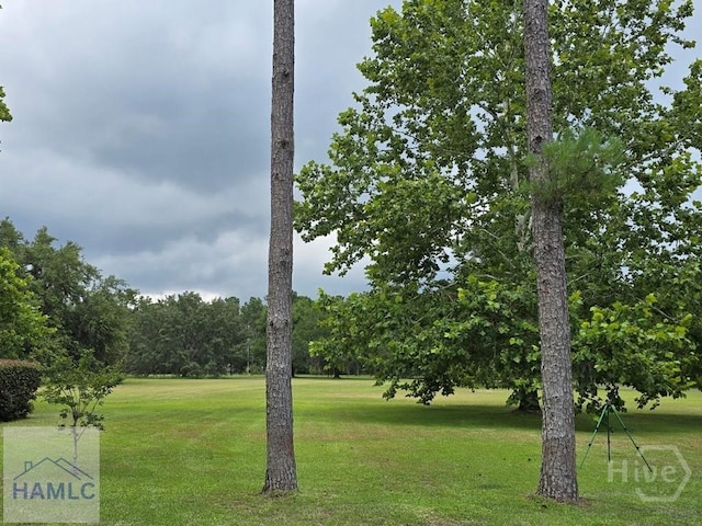 485 Lake Pamona Rd, Midway, GA 31320 - surrounding community featuring a lawn