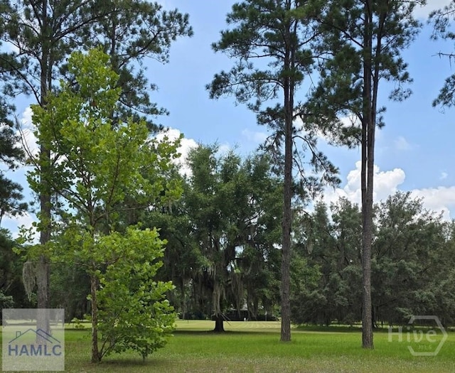 485 Lake Pamona Rd, Midway, GA 31320 - view of community with a yard