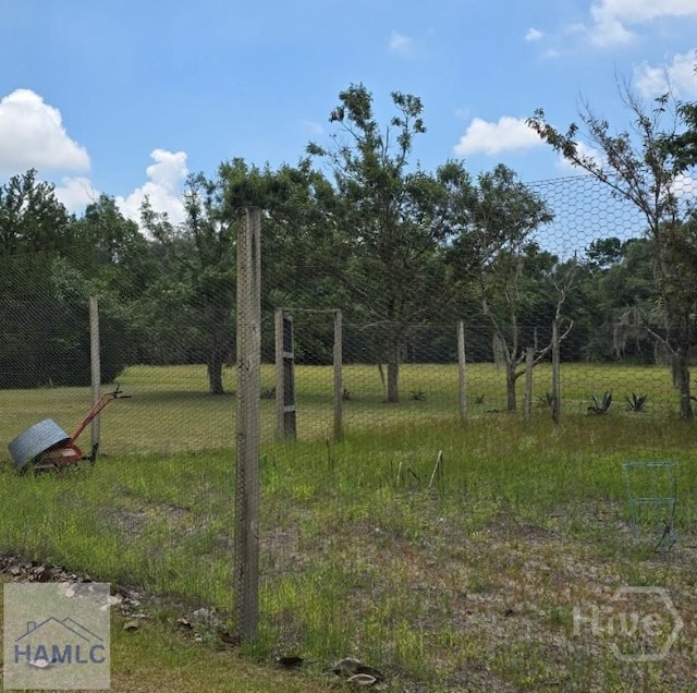 485 Lake Pamona Rd, Midway, GA 31320 - view of yard