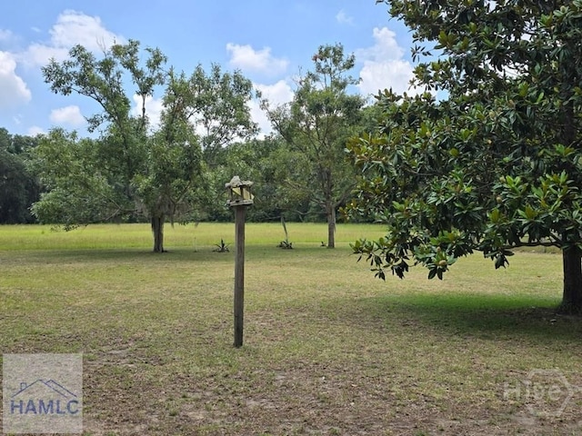 485 Lake Pamona Rd, Midway, GA 31320 - view of green lawn