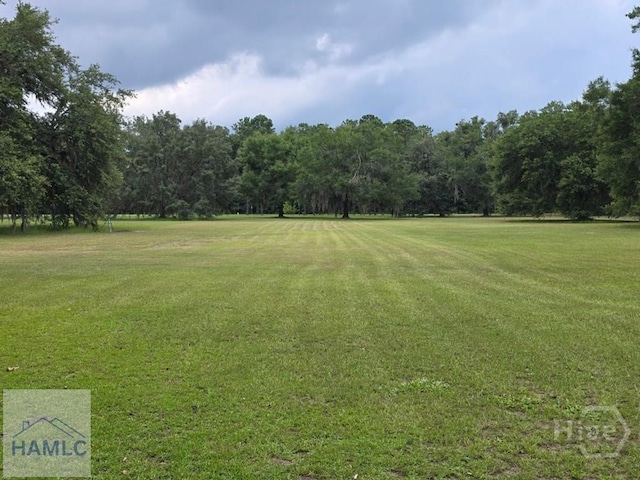 485 Lake Pamona Rd, Midway, GA 31320 - view of home's community with a lawn and a forest view