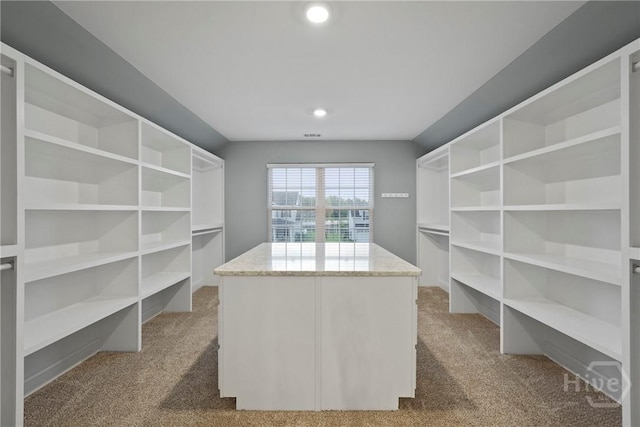 95 Simcoe Lake Dr, Richmond Hill, GA 31324 - walk in closet featuring carpet