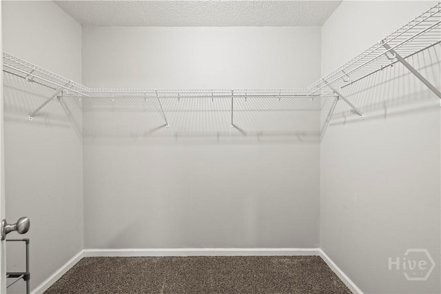 226 Cyane Ln, Guyton, GA 31312 - walk in closet with carpet