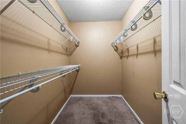 259 Laurel Hill Cir, Richmond Hill, GA 31324 - walk in closet featuring carpet flooring