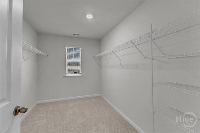 338 Wedge Cir, Richmond Hill, GA 31324 - spacious closet with carpet floors