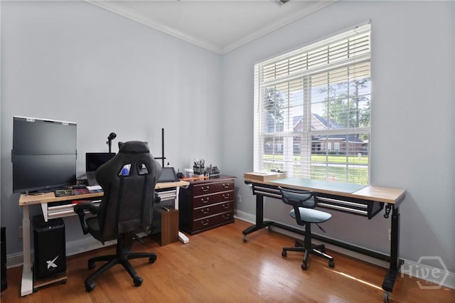 204 Bristol Way, Richmond Hill, GA 31324 - office space featuring crown molding, wood finished floors, and plenty of natural light