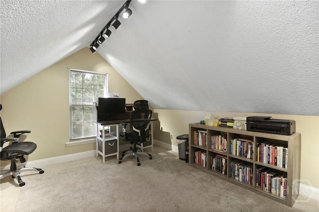 204 Bristol Way, Richmond Hill, GA 31324 - carpeted office space featuring a textured ceiling, track lighting, and vaulted ceiling