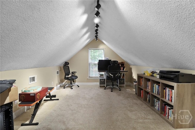 204 Bristol Way, Richmond Hill, GA 31324 - office with a textured ceiling, vaulted ceiling, and carpet