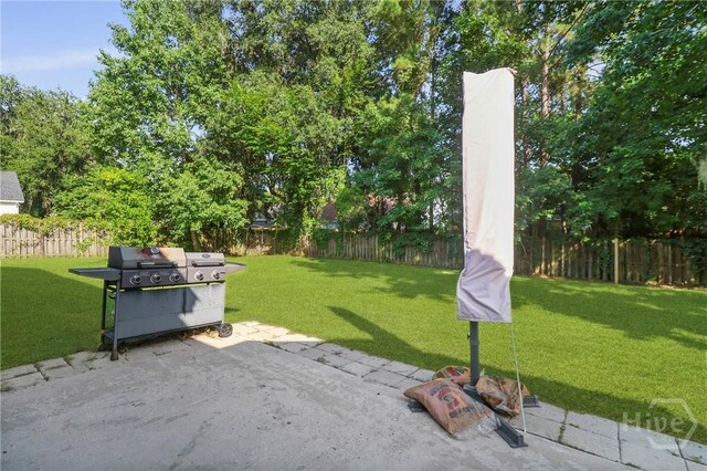 204 Bristol Way, Richmond Hill, GA 31324 - fenced backyard featuring a patio area and grilling area