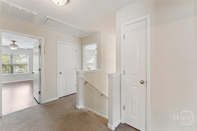 205 Summer Hill Ct, Richmond Hill, GA 31324 - corridor with attic access, an upstairs landing, and carpet flooring