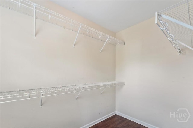 205 Summer Hill Ct, Richmond Hill, GA 31324 - spacious closet with dark wood finished floors