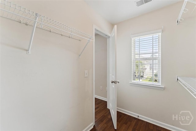 205 Summer Hill Ct, Richmond Hill, GA 31324 - spacious closet featuring dark wood-style flooring